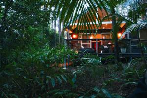 Songbirds Rainforest Retreat外面的花园