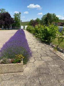 Vonkajšia záhrada v ubytovaní Resort Kovács