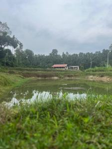 a large field with a house in the background at Doddagadde Stays - Near to Ettina Bhuja trekking in Mudigere