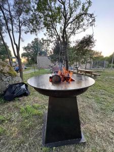 Una mesa con fuego encima en un parque. en 4 Ruderi, en Roccastrada