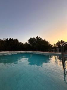 una grande piscina d'acqua con alberi sullo sfondo di Atlantis 12, Maison d'hôtes et d'art a Essaouira