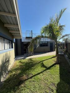 een palmboom in een tuin naast een gebouw bij Davisons Guest House in Harare