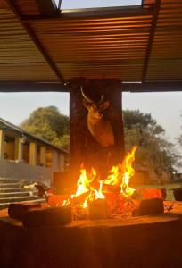 Fotografie z fotogalerie ubytování Wagenbietjieshoek Wilgekraal Farmhouse v destinaci Lydenburg + 14 fotografií