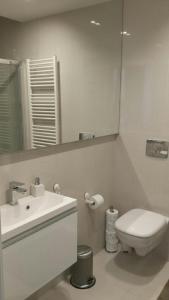 ポズナンにあるModern Apartment Kosińskiegoのバスルーム(洗面台、トイレ、鏡付)
