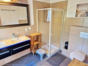a bathroom with a shower and a sink and a toilet at Ferienhaus Meeresrauschen am Salzhaff - ABC582 in Boiensdorf +18 photos