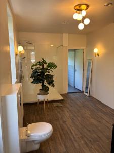 a bathroom with a toilet and a potted plant at De Drentse Rust - Het Atelier in Emmer-Compascuum +47 photos