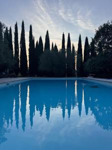 a pool of blue water with trees in the background at Le Porrine in Sasso Pisano