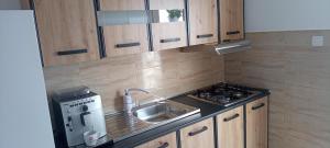 a kitchen with a sink and a coffee maker at Casa Adelin in Eşelniţa