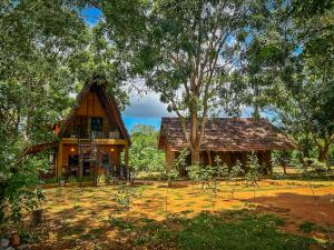 a house in the middle of a yard with trees at Ama Villa - Habarana in Habarana
