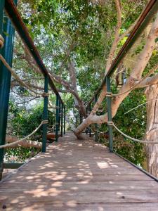 a wooden bridge with trees in the background at The Secret Treehouse in Hersonissos