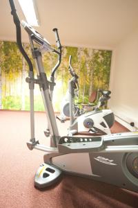 Fitness centrum a/nebo fitness zařízení v ubytování Lieblingsplatz Tirolerhof
