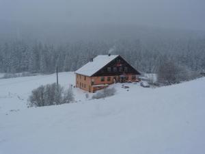 une maison sur une colline dans la neige dans l'établissement Auberge Des Hauts Viaux, à La Bresse