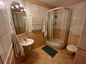 a bathroom with a sink and a shower and a toilet at Rezydencja Szatkowskich in Barlinek