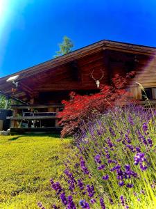 Giardino di Tiroler Blockhaus