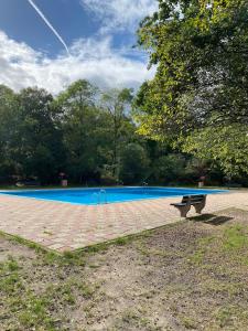 a bench sitting in front of a swimming pool at Dromen op 1 - Stijlvol boshuis op de Veluwe met veranda en grote omheinde tuin! in Nunspeet