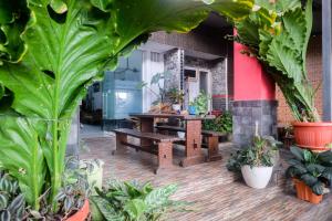 Zahrada ubytování RedDoorz near Batik Tulis Celaket 2