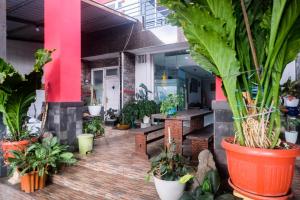 Zahrada ubytování RedDoorz near Batik Tulis Celaket 2
