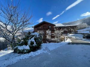 Obiekt Appartement cosy au pied des pistes avec piscine, balcon et parking privé - FR-1-505-170 zimą