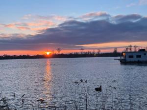 un gruppo di anatre che nuotano in un lago al tramonto di Eisvogel- Ferienwohnung a Marienfelde