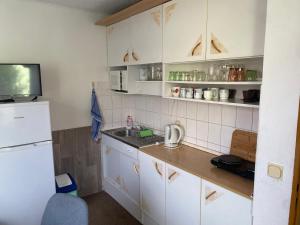 Kuchyň nebo kuchyňský kout v ubytování Apartmány Jedovnice