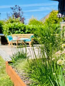 un giardino con panchina, tavolo e sedie di Haus Rose a Ribnitz-Damgarten Altre 26 foto
