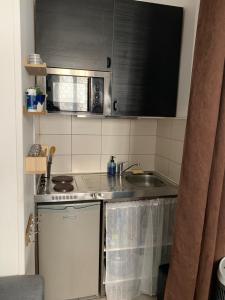 a small kitchen with a sink and a microwave at Charmant studio cosy à 5 min du centre d'Épernay in Épernay