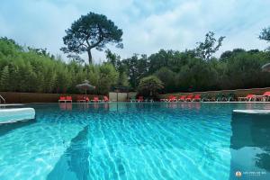 a swimming pool with a dolphin in the water at Camping Les Pins de Sel in Saint-Augustin