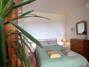 una camera da letto con un letto accanto ad una pianta di Appartement T2 avec terrasse, parking et wifi à St-Genest-Lerpt - FR-1-496-287 a Saint-Genest-Lerpt