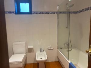 ein Badezimmer mit Toilette, Waschbecken und Dusche in der Unterkunft DUPLEX SAN VICENTE do MAR in O Grove