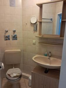 a bathroom with a toilet and a sink at Residenz Sachsensteinblick in Bad Sachsa +17 photos