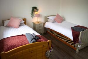 a bedroom with two beds and a night stand with a lamp at Auchenhill Lodge in Denny