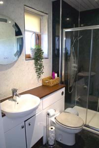 a bathroom with a sink and a toilet and a shower at Auchenhill Lodge in Denny