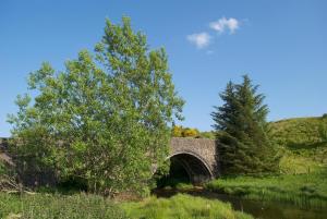 an old bridge over a river with a tree at Auchenhill Lodge in Denny