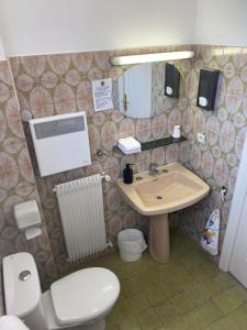 a bathroom with a toilet and a sink at Hôtel Restaurant Brasilia in Cagnes-sur-Mer +16 photos