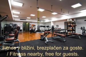 a gym with several treadmills and exercise equipment at Residence Marina Garbin Apartment in Portorož