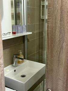 a bathroom with a white sink and a shower at Smart Bijela in Bijela +6 photos
