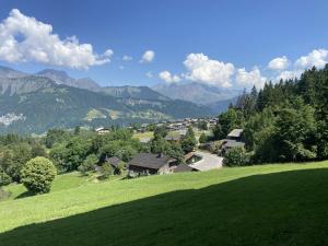 a green hill with houses and mountains in the background at Appartement cosy 4 pers, proche pistes et commerces - FR-1-733-169 in Cohennoz