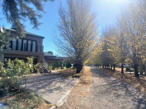 a tree lined road in front of a house at 109 Mauser Avenue in Pretoria