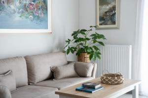 a couch in a living room with a potted plant at Georgia's House in Galatas