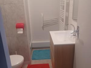 a bathroom with a white sink and a toilet at Studio calme avec parking à Super Besse - FR-1-814-125 in Besse-et-Saint-Anastaise +6 photos