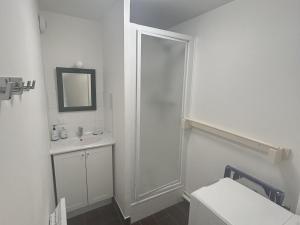 Koupelna v ubytování Duplex cosy 8 pers. aux pieds des pistes, garage, wifi, 2 ch. + mezzanine - FR-1-814-130 + 14 fotografií