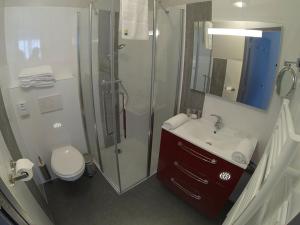 Kylpyhuone majoituspaikassa L'AEROGARE Amboise