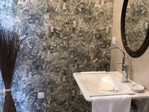 bagno con lavandino e parete di Maison d'hôtes familiale près de La Flèche, animaux acceptés - FR-1-410-476 a Cré-sur-Loir