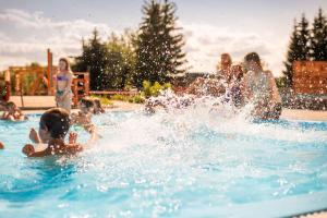 Πισίνα στο ή κοντά στο Wellness Hotel Frymburk