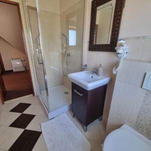 a bathroom with a shower and a sink and a toilet at Willa Baja in Łeba