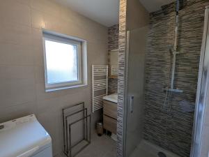 a bathroom with a shower and a toilet and a sink at Charmant gîte à la ferme près d'Orléans avec parking privé - FR-1-590-575  +27 photos