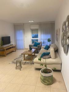 Foto sihtkohas Rishon LeẔiyyon asuva majutusasutuse סאל פאי תפוחים galeriist +3 fotot