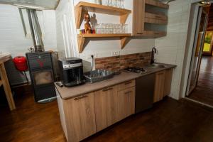 a kitchen with a counter with a stove and an oven at Cabana Oul Arsitei in Pleşi