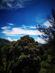 Φωτογραφία από το άλμπουμ του Amber by The Tamarillo σε Ooty