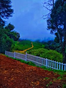 Φωτογραφία από το άλμπουμ του Amber by The Tamarillo σε Ooty